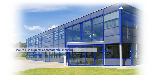 Commercial Cleaning Experts